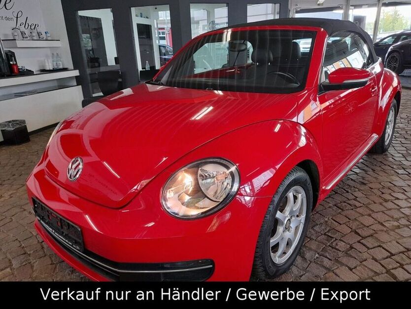 Beetle