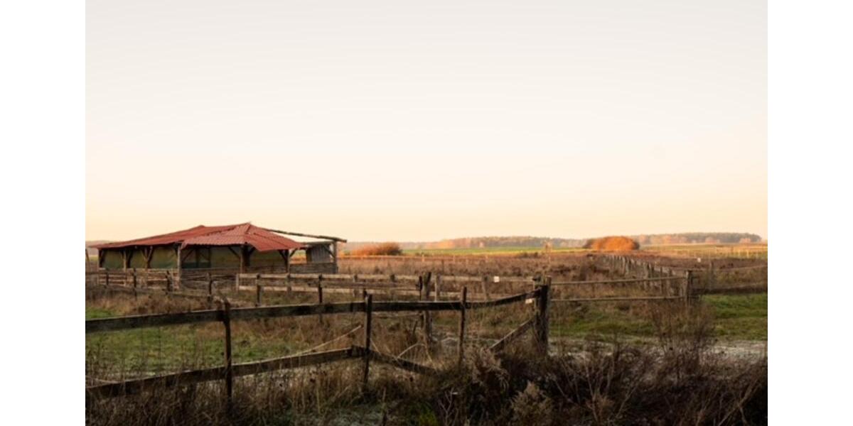 Einfamilienhaus Märkisch Linden - 4 Zimmer, 140 m&sup2;, 480.000&euro; | Angebot:25307768