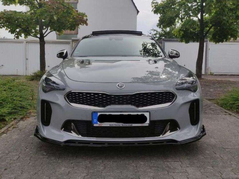Stinger