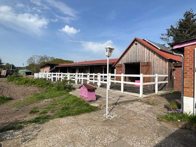 Gewerbeobjekt Dahlenburg / Lemgrabe Lemgrabe - 899.000&euro; | Angebot:25834964