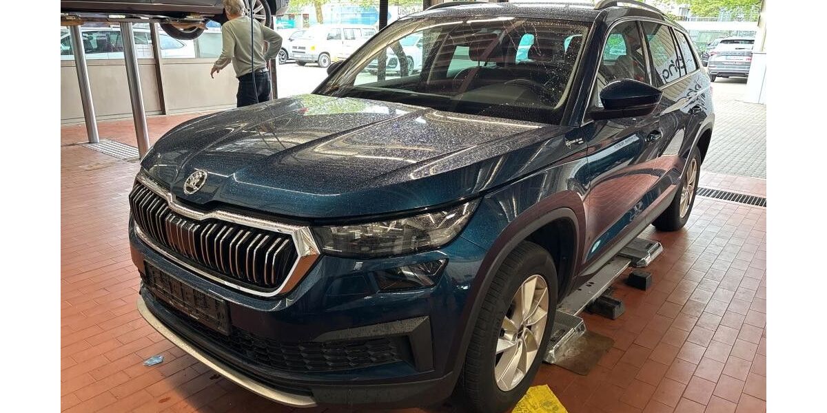 Skoda Kodiaq 100.000 km 28.990 &euro; Willmering 93497