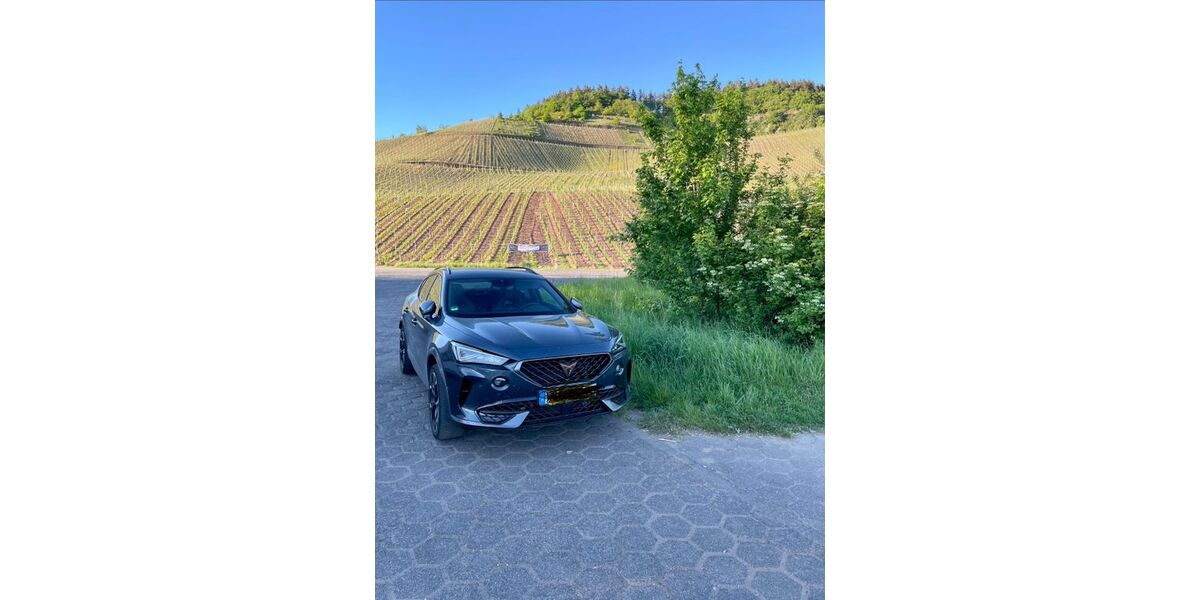 Cupra Formentor 37.500 km 28.650 &euro; Niersbach 54518