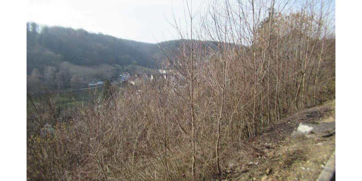 Grundstück Horb am Neckar Ihlingen - 98.500&euro; | Angebot:25796387