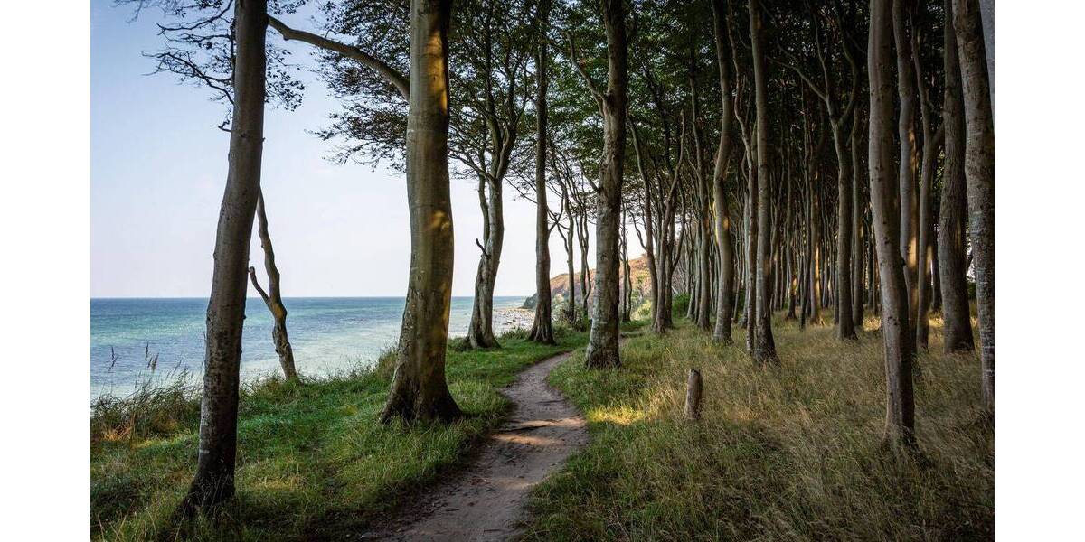 Grundstück Trassenheide - 179.000&euro; | Angebot:25800658