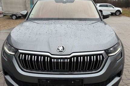 Skoda Kodiaq 212.247 km 22.900 &euro; Karlsruhe 76199