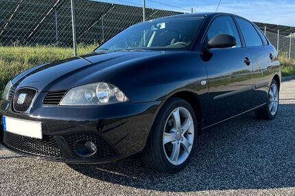 Seat Ibiza 143.000 km 2.900 € Wolfsburg 38440