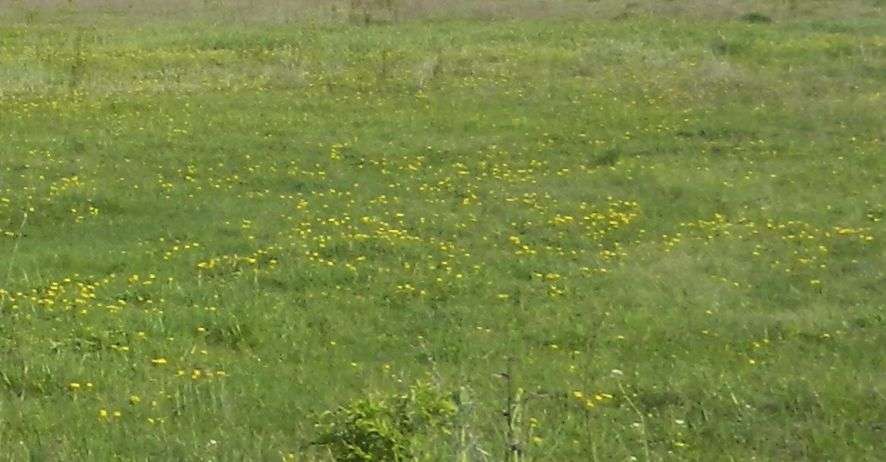 Grundstück Büdingen - 390.000&euro; | Angebot:23794555