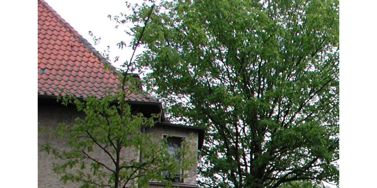 Hohen Neuendorf: 2-Zimmer DG-Wohnung teilmöbliert zu vermieten 2 zimmer