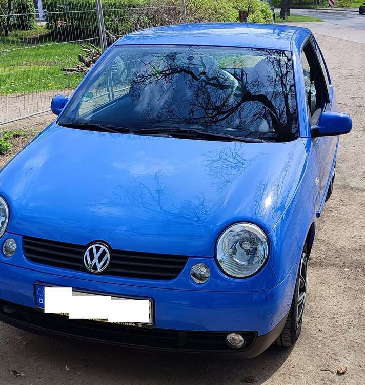 Lupo