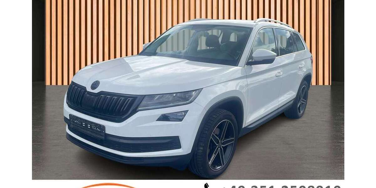 Skoda Kodiaq 135.115 km 18.980 &euro; Dresden/Weißig 01328