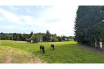 Einfamilienhaus Scheidegg - 5 Zimmer, 120 m&sup2;, 670.000&euro; | Angebot:25963450