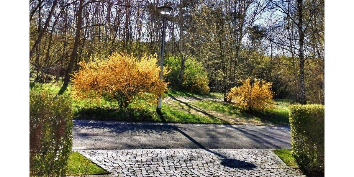 Doppelhaushälfte Eisenhüttenstadt - 4 Zimmer, 92 m&sup2;, 317.000&euro; | Angebot:26733481