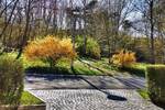 Doppelhaushälfte Eisenhüttenstadt - 4 Zimmer, 92 m&sup2;, 317.000&euro; | Angebot:26733481