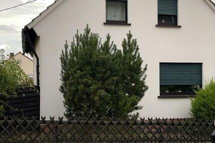 Einfamilienhaus 5 zimmer