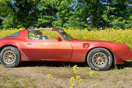 Pontiac Trans Am