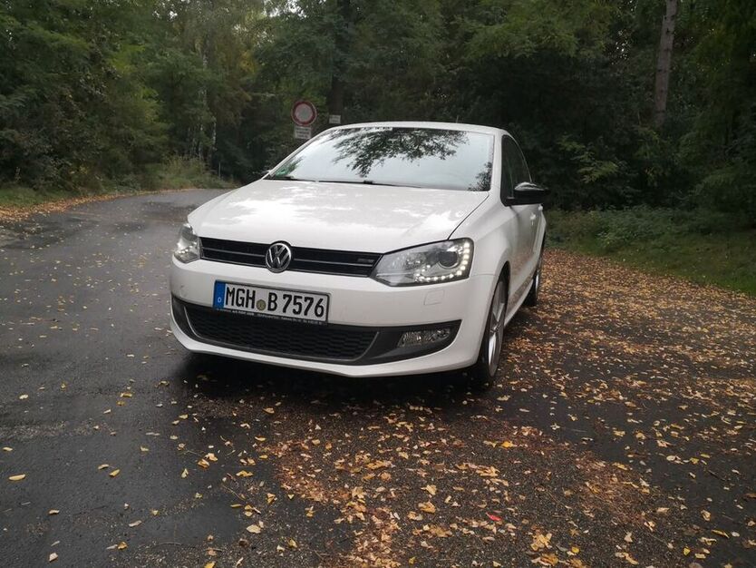 Polo