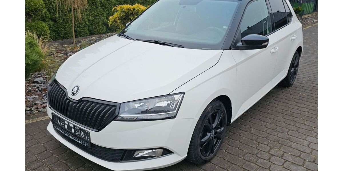 Skoda Fabia 38.100 km 12.960 &euro; Bad-Sassendorf 59505