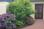 Bungalow Celle Neustadt/Heese - 3 Zimmer, 100 m&sup2;, 335.000&euro; | Angebot:26429524