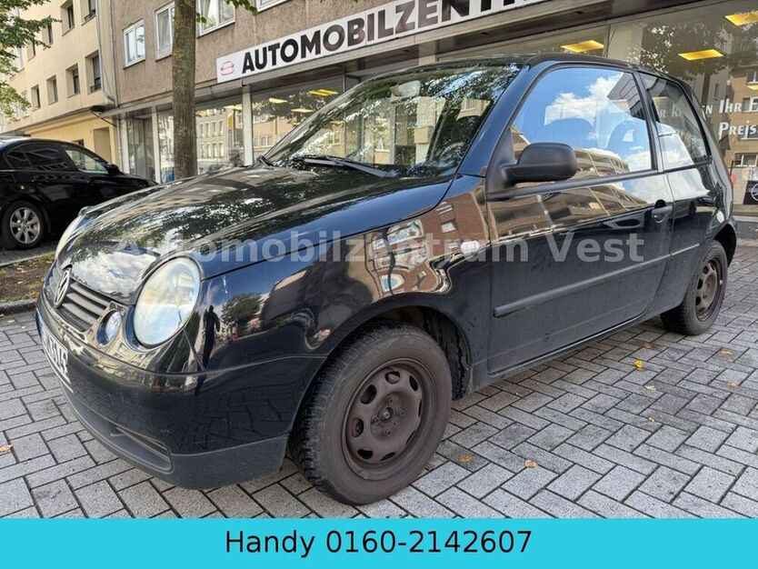 Lupo