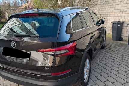 Skoda Kodiaq 169.498 km 19.800 &euro; Freiburg 79108
