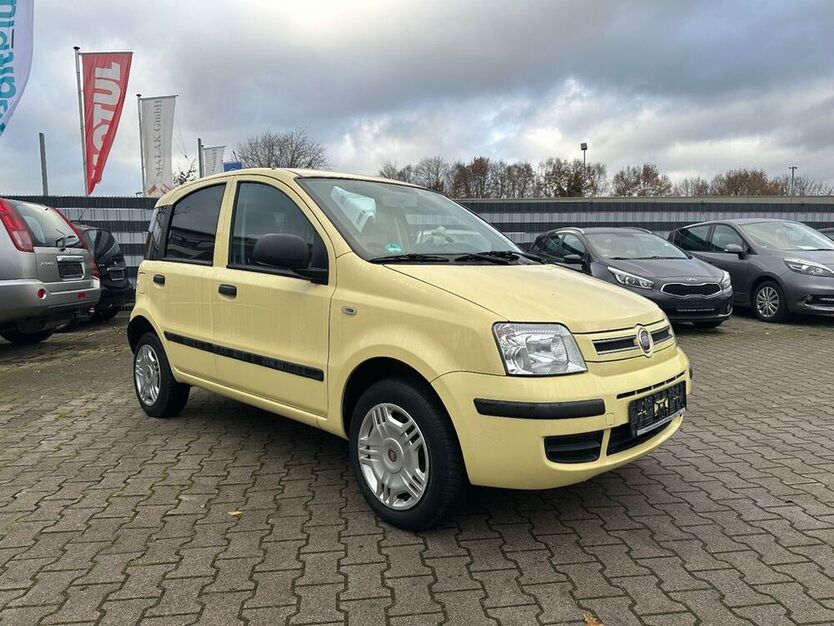 Panda