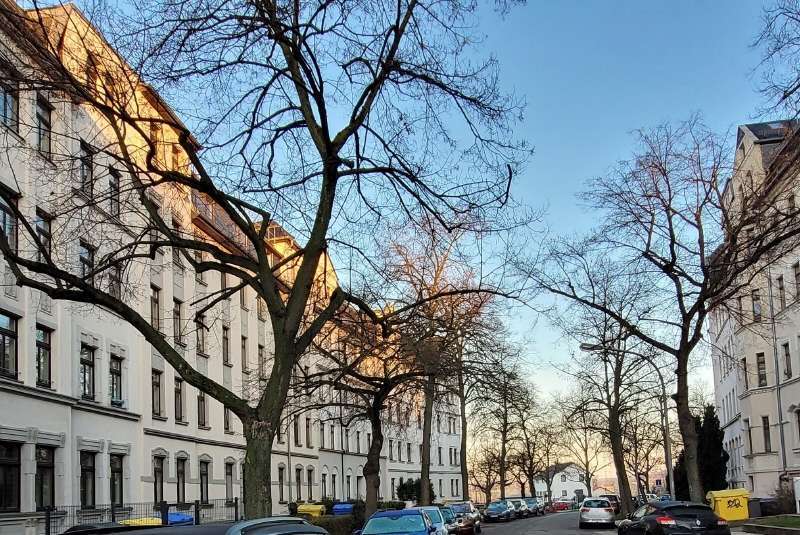 Wohnung zum Mieten in Chemnitz 445 € 71.78 m²