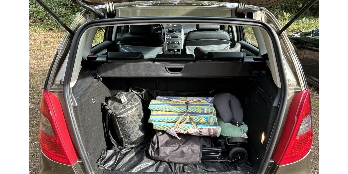 Mercedes-Benz 12.01.2009 193.333 km 3.300 &euro; Magdeburg 39104