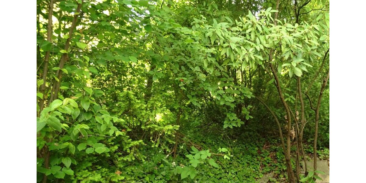 Einfamilienhaus Gifhorn - 6 Zimmer, 145 m&sup2;, 295.000&euro; | Angebot:26888261