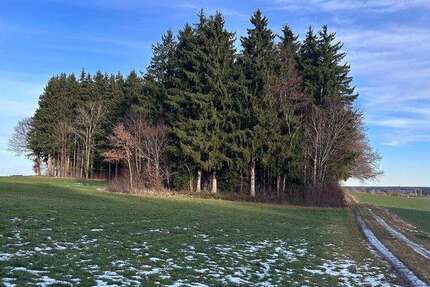 Grundstück Hagenheim Hagenheim - 149.900&euro; | Angebot:24545383