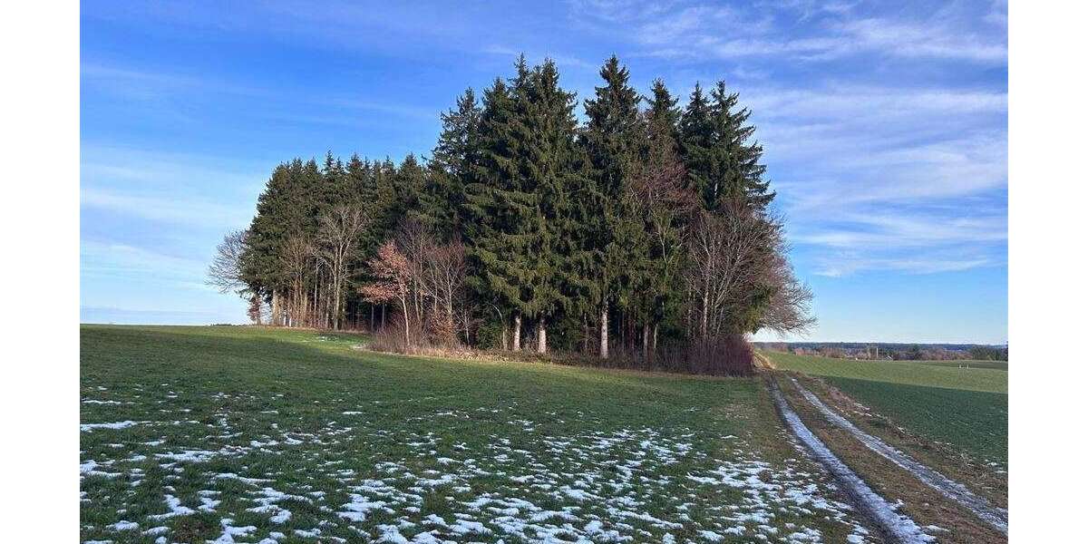 Grundstück Hagenheim Hagenheim - 149.900&euro; | Angebot:24545383