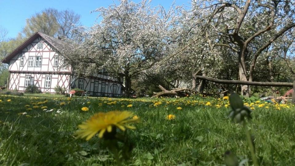 Mehrfamilienhaus mit 19.000 qm Land in MV zimmer