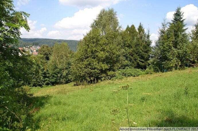 Grundstück Sebnitz - 18.000&euro; | Angebot:25748988