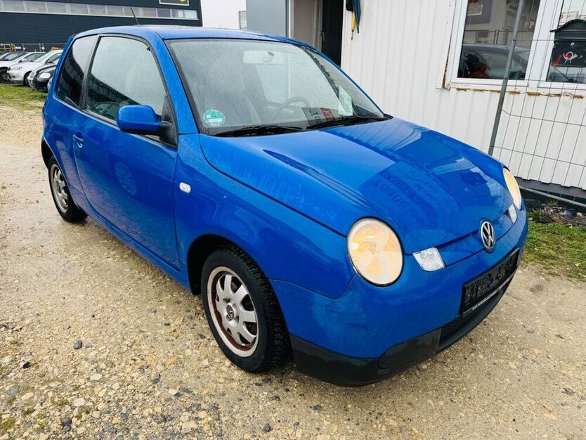 Lupo
