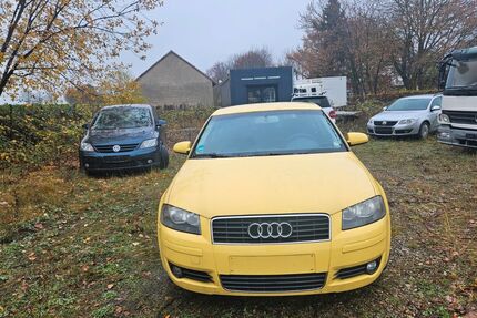 Audi A3 335.000 km 650 &euro; Springe 31832