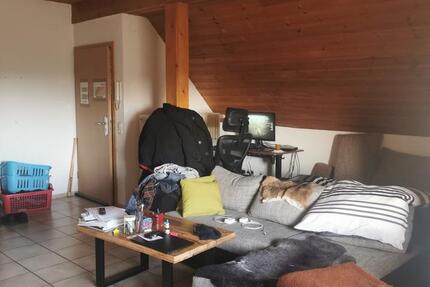 Wohnung Troisdorf Bergheim - 1 Zimmer, 41 m&sup2;, 492&euro; | Angebot:24976268