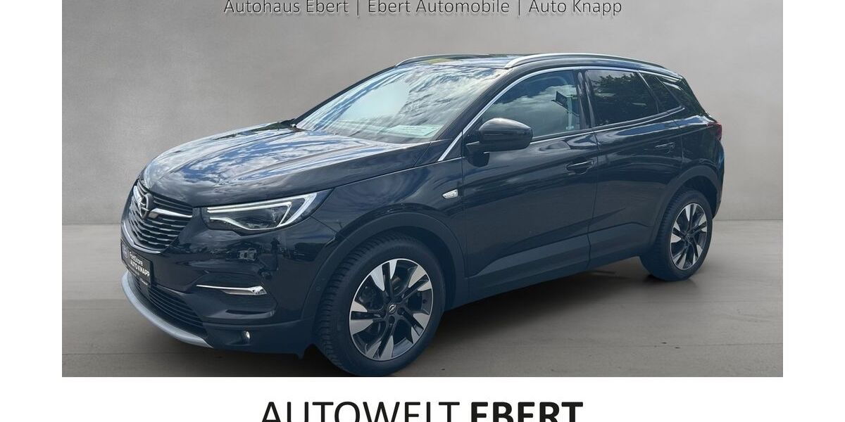 Opel Grandland (X) 86.400 km 13.790 &euro; Frankenthal 67227