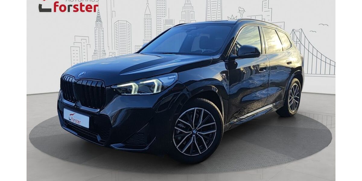 BMW X1 28.600 km 43.990 &euro; Altenstadt 92665