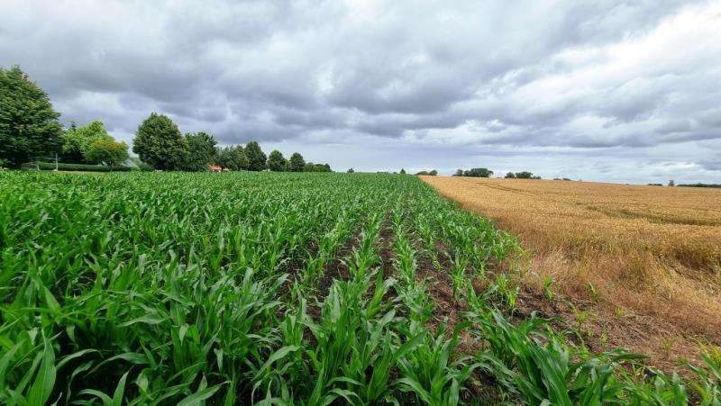 Grundstück zu verkaufen in Mellenthin OT Dewichow 749.000 € 19424 m² zimmer