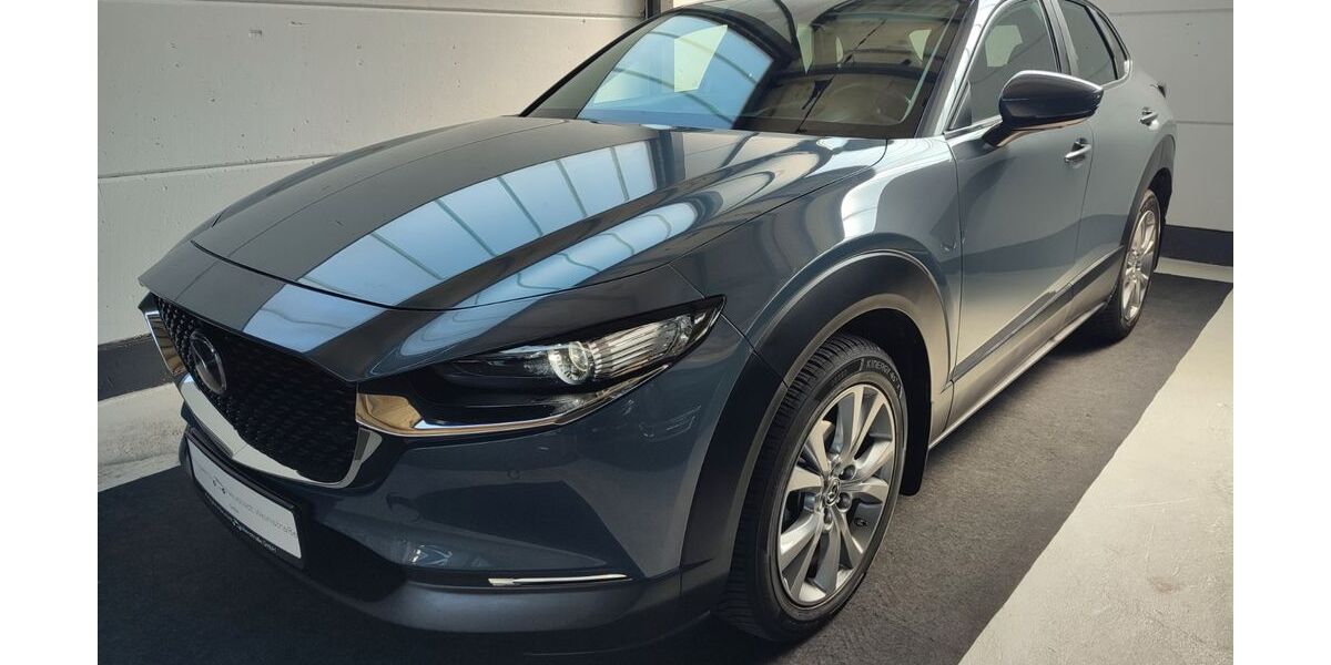 Mazda CX-30 29.050 km 21.450 &euro; Neustadt a. d. Weinstr. 67435