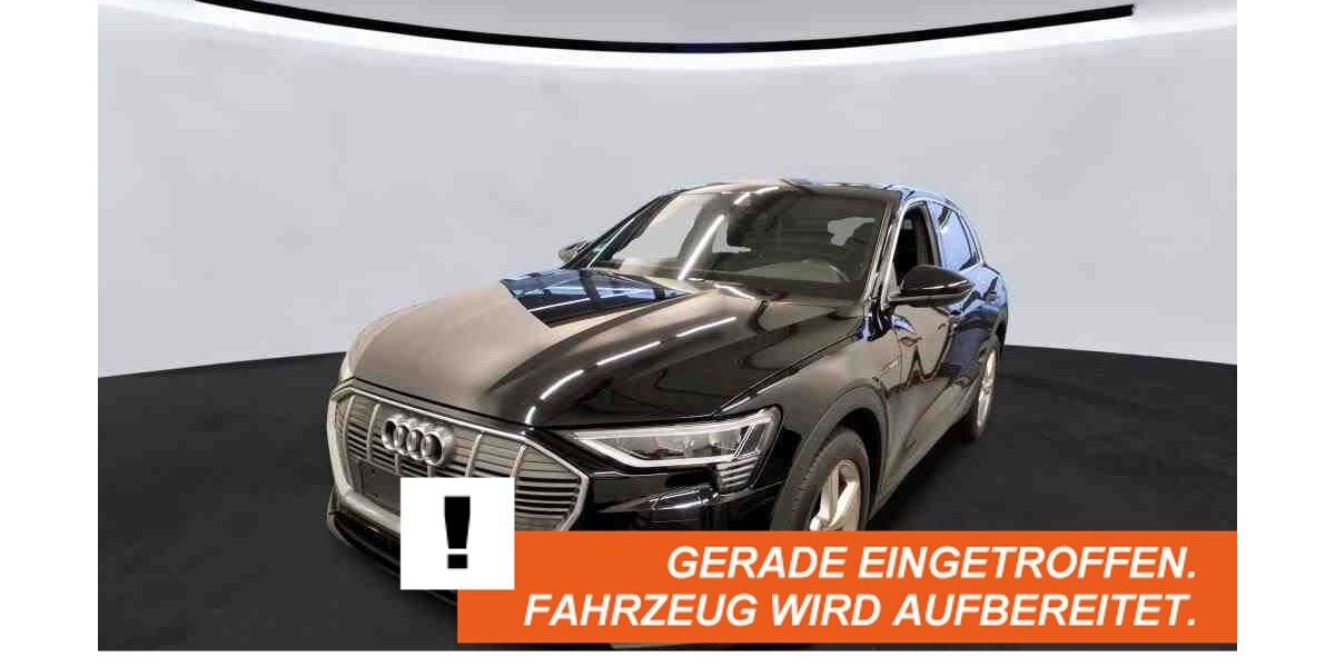 Audi e-tron 55.838 km 28.480 &euro; Meppen 49716