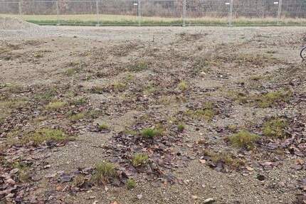 Wunderschönes Baugrundstück *provisionsfrei* zimmer