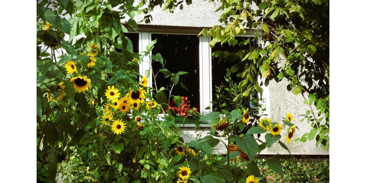 Erdgeschoßwohnung Niedernhausen - 2 Zimmer, 82 m&sup2;, 242.000&euro; | Angebot:24626400