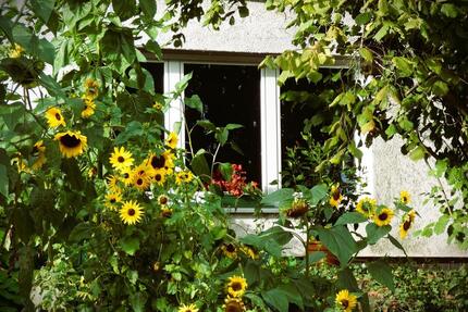 TaunusPerle: Wunderschöne, barrierefr. 2,5-Zi.-EG-Terrassenwhg. 2 zimmer