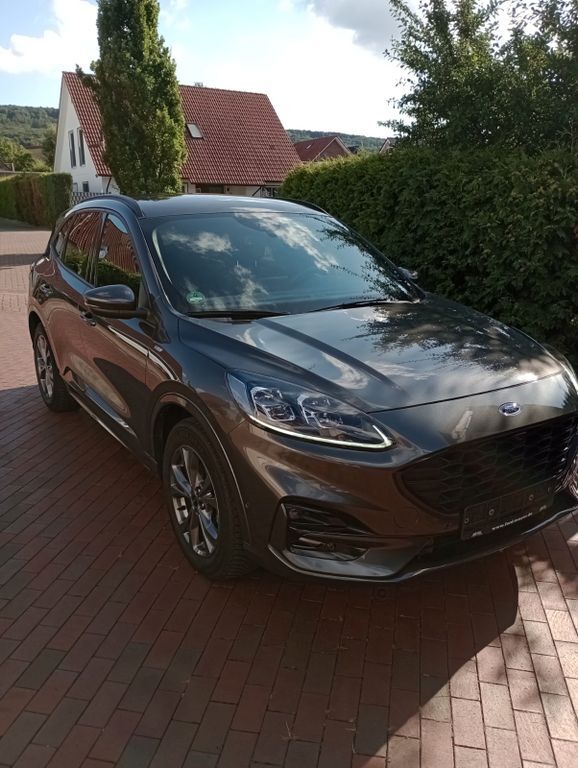 Kuga