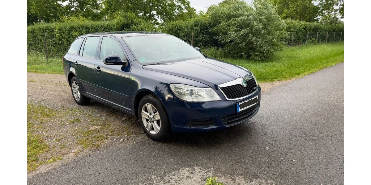 Skoda Octavia 229.552 km 3.500 &euro; Schwülper 38179