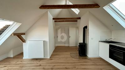 MINIATUR PENTHOUSE MIT LOFT CHARAKTER - Dachgeschoßwohnung Schwarzenbek | Angebot:26184379