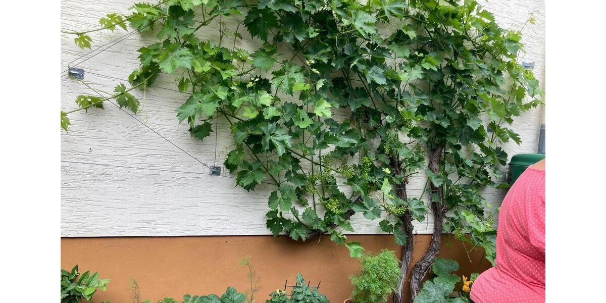 Einfamilienhaus Marburg - 5 Zimmer, 150 m&sup2;, 1.550&euro; | Angebot:26153606