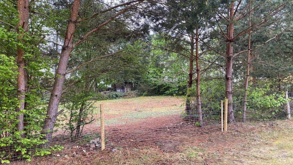 Grundstück Menz Menz - 197.000&euro; | Angebot:26450038