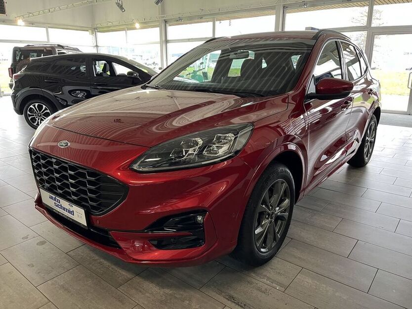 Kuga