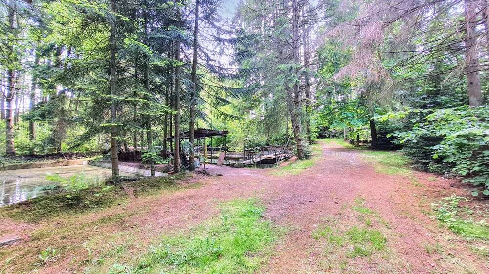 Grundstück zu verkaufen in Harsefeld Issendorf 89.000 € 2959 m² zimmer